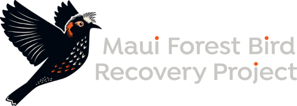 MFBRP-Logo-Color-Horizontal_light-text-600x215